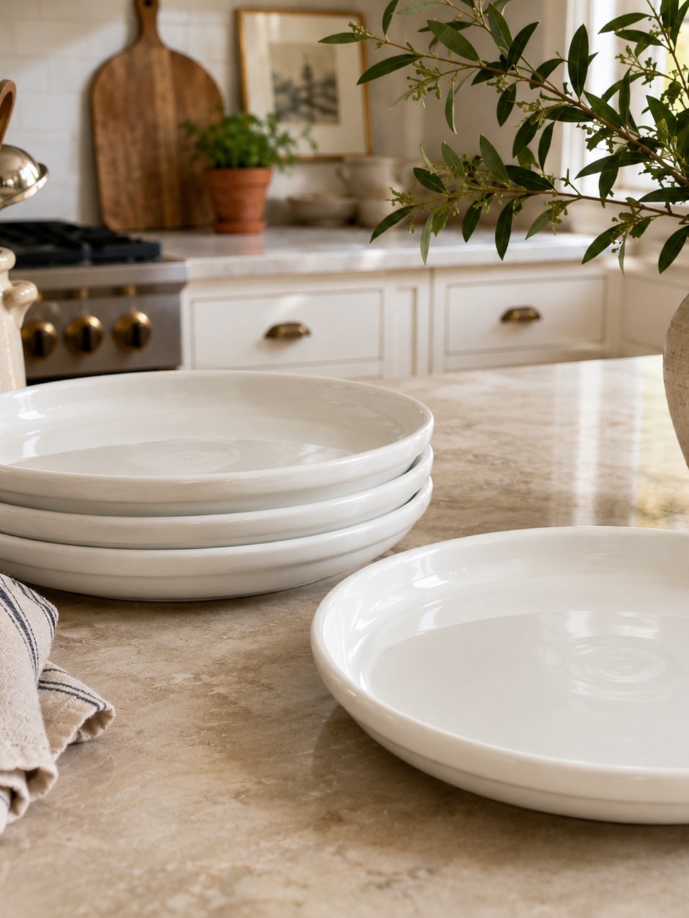Crate & Barrel CulinaryArts Cafeware 10.25” Porcelain Single Dinner Plate